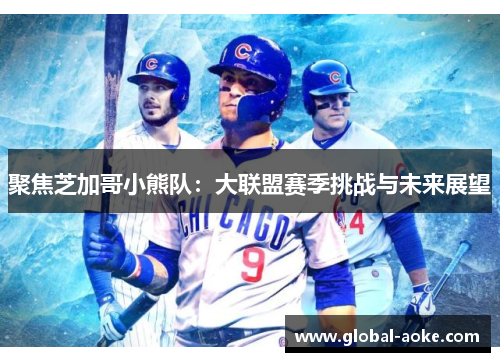 聚焦芝加哥小熊队：大联盟赛季挑战与未来展望