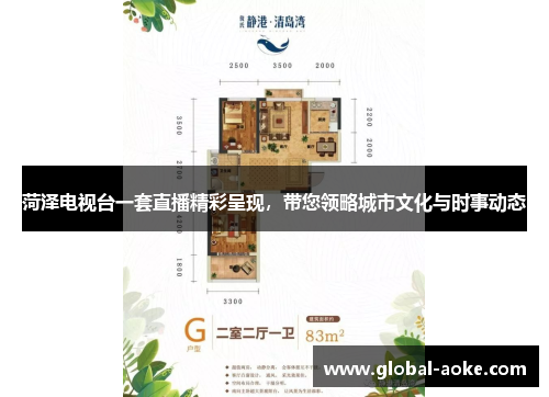 菏泽电视台一套直播精彩呈现，带您领略城市文化与时事动态